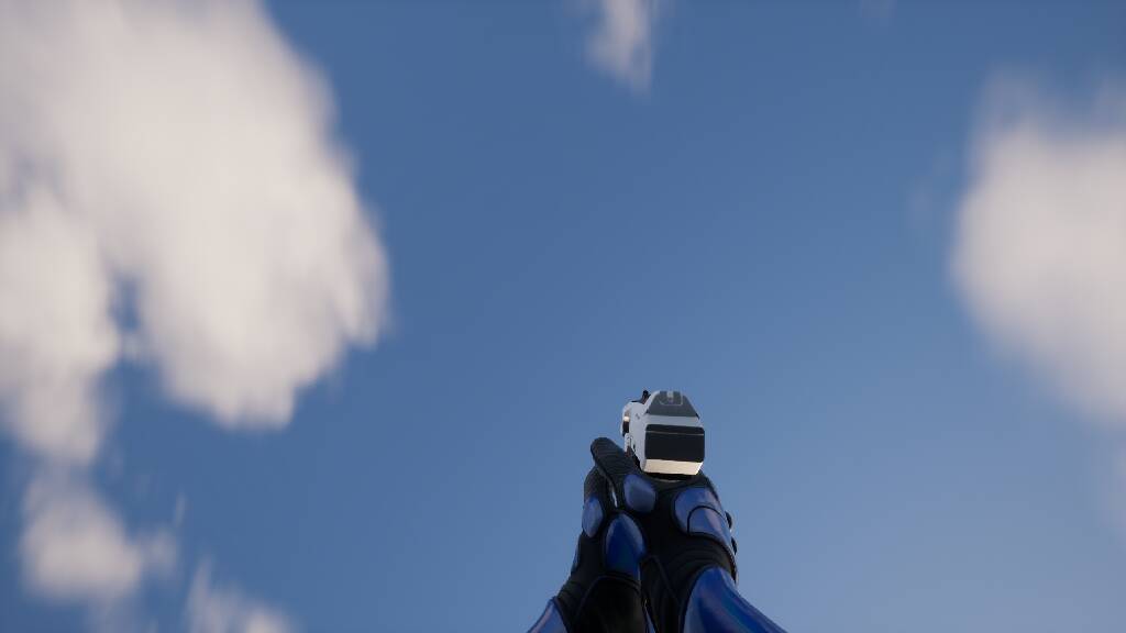 Native first-person item look-up framing